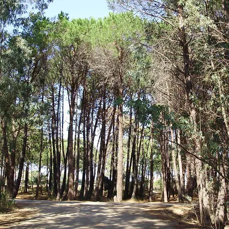 F1 à 150 Mètres De La Appartamento Calvi (Corsica)