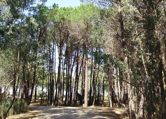 F1 à 150 Mètres De La Appartamento Calvi (Corsica)